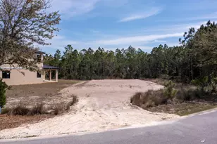 112 Shallow Reed Dr, Port Saint Joe, FL 32456 - Photo 9