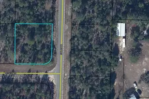 00 Regent St, Chipley, FL 32428 - Photo 1