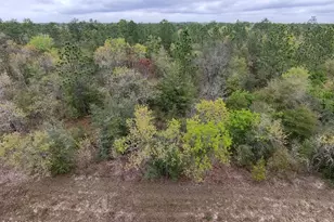 Lot 5 Weller St, Chipley, FL 32428 - Photo 1