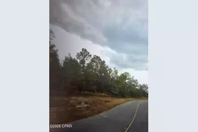 0000 Independence Drive, Chipley, FL 32428 - Photo 1