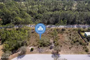 155 Shallow Reed Dr, Port Saint Joe, FL 32456 - Photo 9