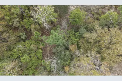 000 Darlington Drive, Chipley, FL 32428 - Photo 3