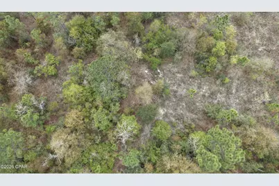 000 Darlington Drive, Chipley, FL 32428 - Photo 1
