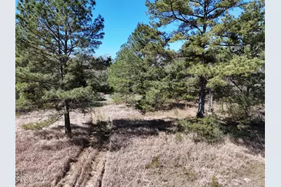 2828 Brotherhood Memorial Lane, Bonifay, FL 32425 - Photo 13