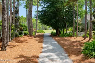 204 E E Firethorn Circle, Inlet Beach, FL 32461 - Photo 59