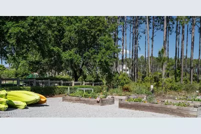 204 E E Firethorn Circle, Inlet Beach, FL 32461 - Photo 65