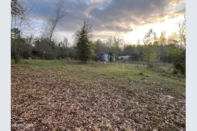 5372 Sonic Drive, Marianna, FL 32448 - Photo 7