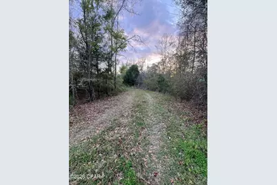 5372 Sonic Drive, Marianna, FL 32448 - Photo 1