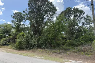 4529 SW 28th St, Lehigh Acres, FL 33971 - Photo 5