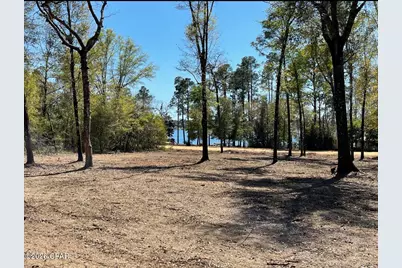 Tbd Silver Lake N, Marianna, FL 32448 - Photo 3