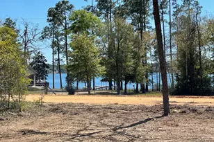 Tbd Silver Lake N, Marianna, FL 32448 - Photo 1