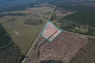 Tbd SW Lot #2 SW County Road 275, Blountstown, FL 32424 - Photo 1