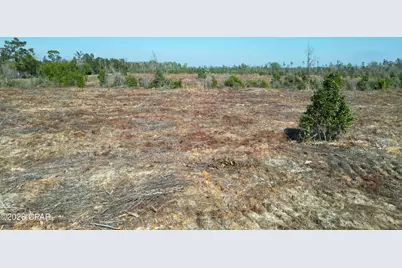 Tbd SW Lot #2, SW County Road 275, Blountstown, FL 32424 - Photo 3