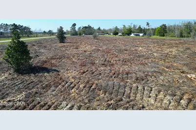 Tbd SW Lot #2, SW County Road 275, Blountstown, FL 32424 - Photo 5