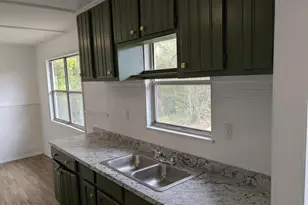 1972 Lockey Ave, Sneads, FL 32460 - Photo 19