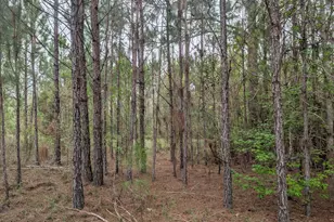 0 Sumac Rd, Westville, FL 32464 - Photo 1