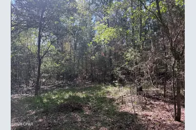 Tbd Sheffield Drive, Marianna, FL 32446 - Photo 3