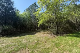 Tbd Sheffield Dr, Marianna, FL 32446 - Photo 1