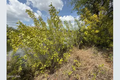 2206 1st Place, Cape Coral, FL 33909 - Photo 5