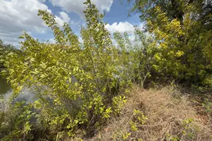 2206 1st Pl, Cape Coral, FL 33909 - Photo 5