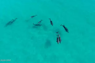 17647 Front Beach Rd, Panama City Beach, FL 32413 - Photo 53