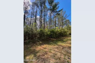 [Address not provided], Westville, FL 32464 - Photo 5