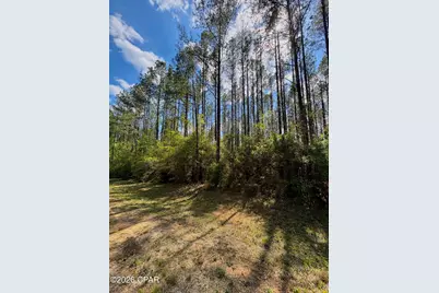 [Address not provided], Westville, FL 32464 - Photo 3