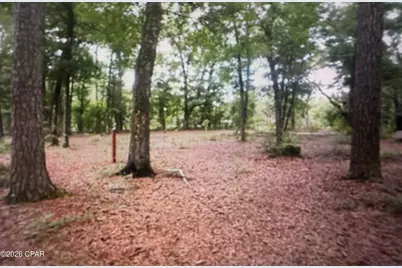 5198 Millers Ferry Road, Vernon, FL 32462 - Photo 39