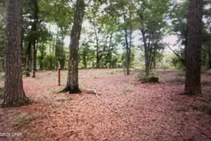 5198 Millers Ferry Rd, Vernon, FL 32462 - Photo 39