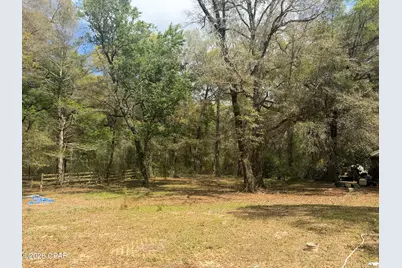 5198 Millers Ferry Road, Vernon, FL 32462 - Photo 3