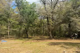 5198 Millers Ferry Rd, Vernon, FL 32462 - Photo 3