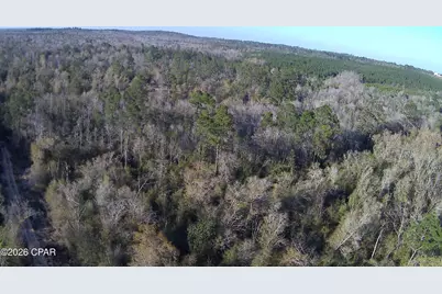 Tbd Olivia Drive, Alford, FL 32420 - Photo 15