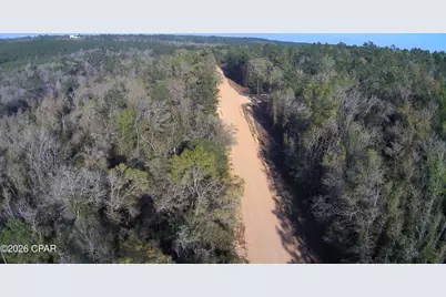 Tbd Olivia Drive, Alford, FL 32420 - Photo 13