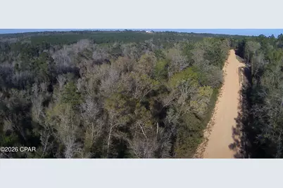 Tbd Olivia Drive, Alford, FL 32420 - Photo 9