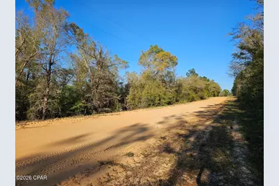 Tbd Olivia Drive, Alford, FL 32420 - Photo 3