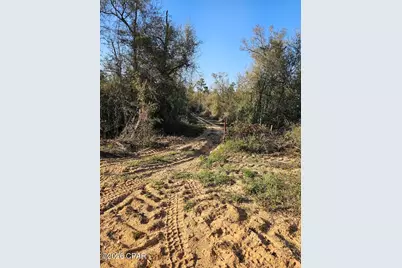 Tbd Olivia Drive, Alford, FL 32420 - Photo 5