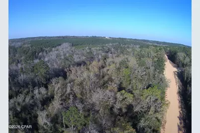 Tbd Olivia Drive, Alford, FL 32420 - Photo 1