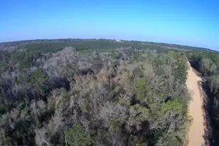 Tbd Olivia Dr, Alford, FL 32420 - Photo 1