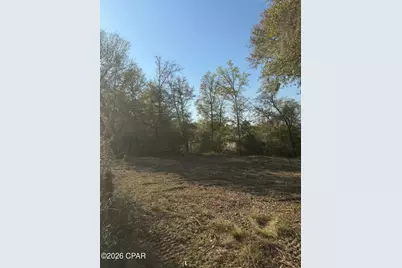 9219 S Silver Lake Road, Fountain, FL 32438 - Photo 3