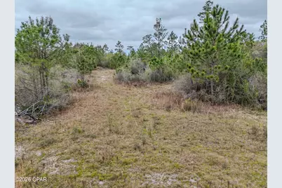 12123 Harrington Road, Fountain, FL 32438 - Photo 21