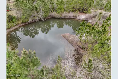 12123 Harrington Road, Fountain, FL 32438 - Photo 37