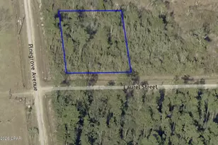 11701 Laurel St, Fountain, FL 32438 - Photo 1