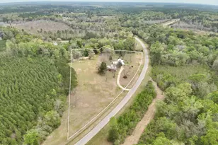 1687 Hwy 160, Westville, FL 32464 - Photo 29