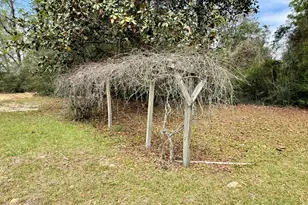 1687 Hwy 160, Westville, FL 32464 - Photo 27