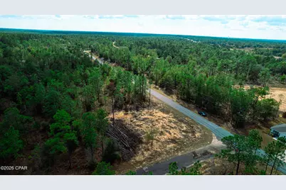 0000 Gulliver Drive, Chipley, FL 32428 - Photo 3