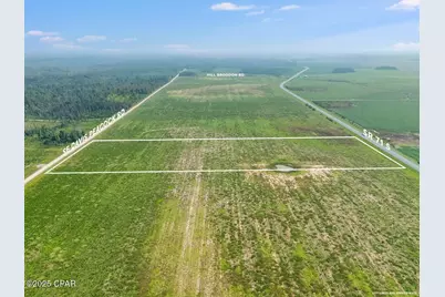 1718 SE Davis Peacock Road, Kinard, FL 32449 - Photo 5