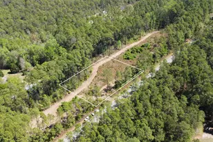 0 Shadow Ln, Freeport, FL 32439 - Photo 1