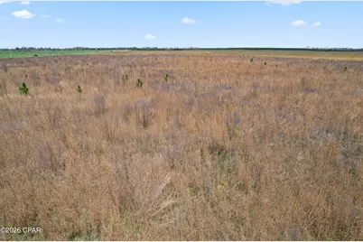 00 Sr 71, Kinard, FL 32449 - Photo 9