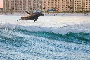 625 Lyndell Ln, Panama City Beach, FL 32407 - Photo 23