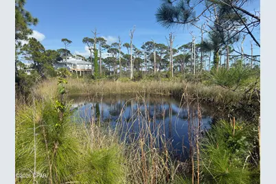 Tbd Cape San Blas Road, Port Saint Joe, FL 32456 - Photo 9